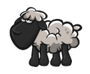 My sheep